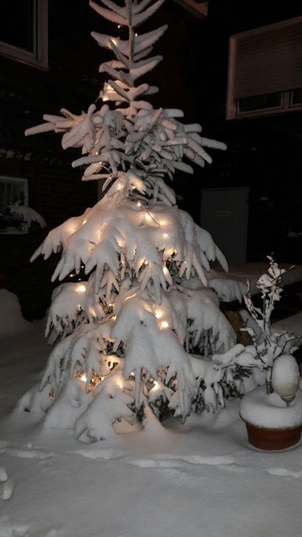 Ohmeis * Winterberg